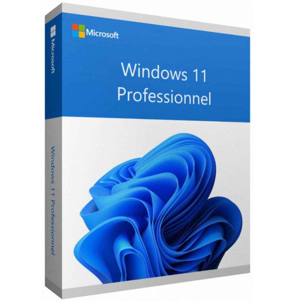 Microsoft Windows 11 Pro Fr 64 Bit (Licence originale + DVD)