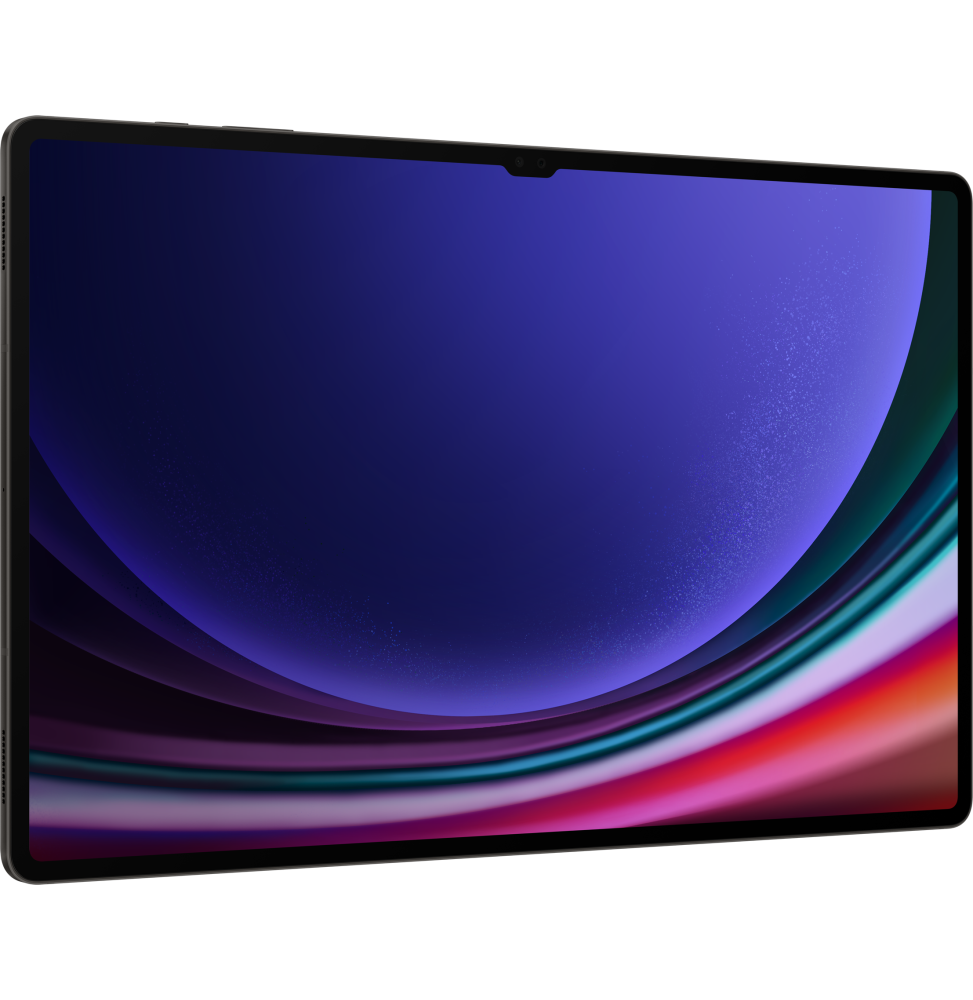 Tablette Samsung Galaxy Tab S9 Ultra 5G 256GB - Graphite