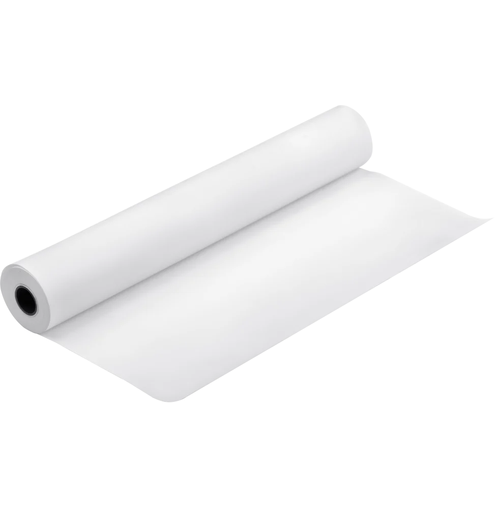 Papier d'épreuve blanc semi-mat en rouleau 24" x 30,5 m, 250g/m2 (C13S042004)