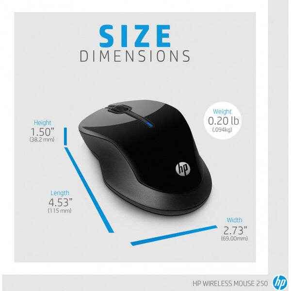 Souris sans fil HP 250 (3FV67AA)